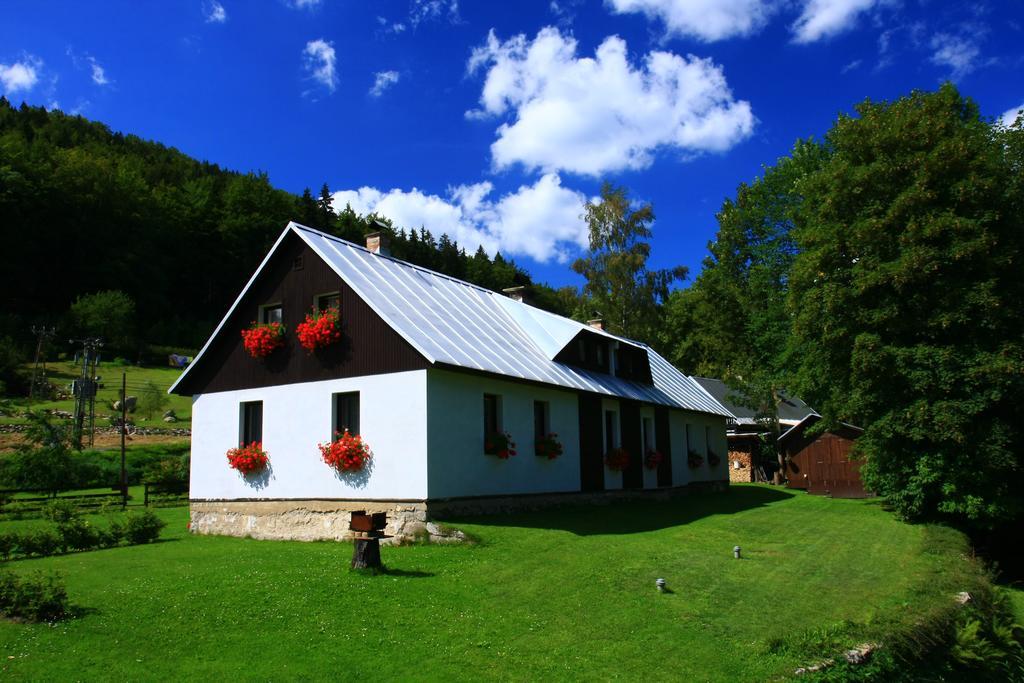 Guest House U Lakomce Desna  Exterior photo